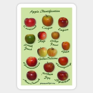 Apple Identification Sticker